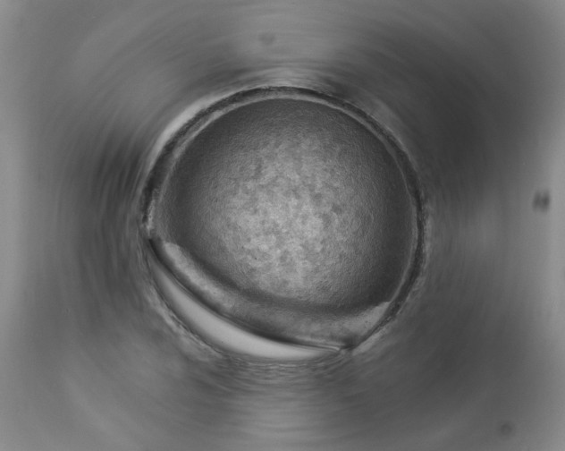 X0000112981024200909031104