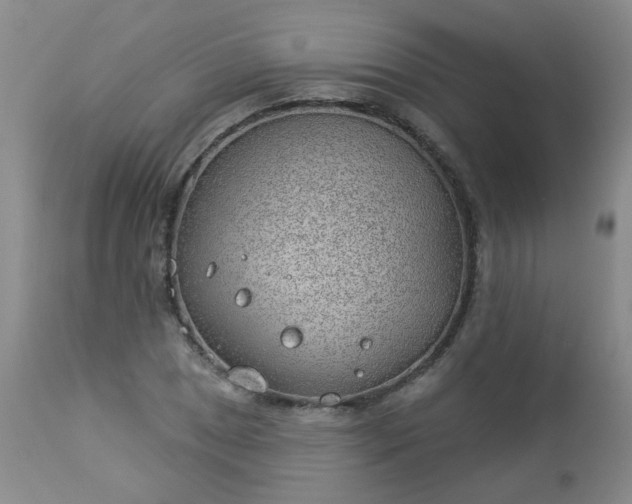 X0000112981025200909031104