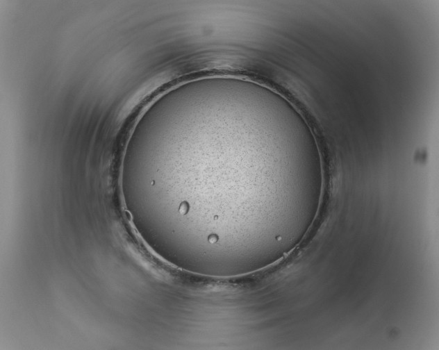 X0000112981026200909031104