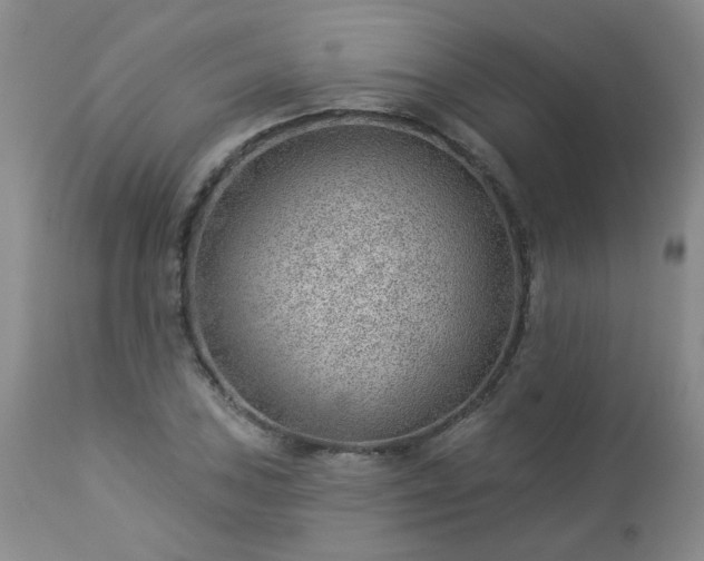 X0000112981027200909031104