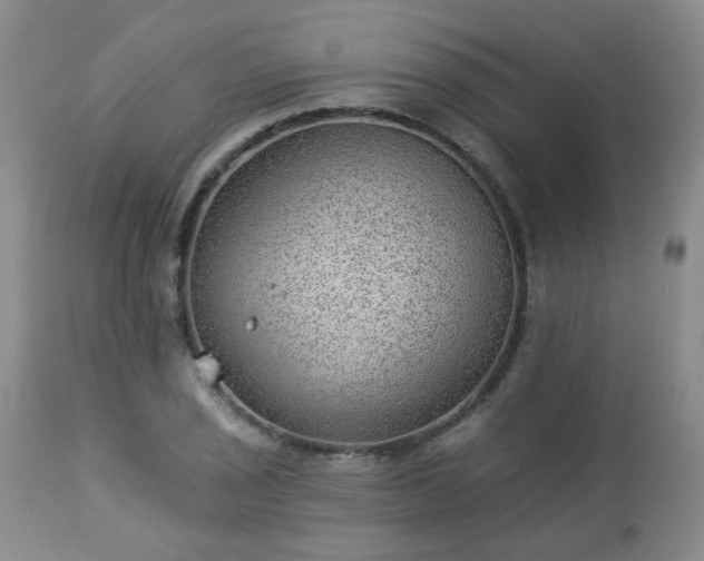 X0000112981029200909031104