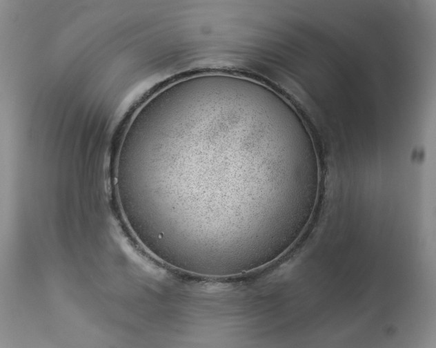 X0000112981030200909031104