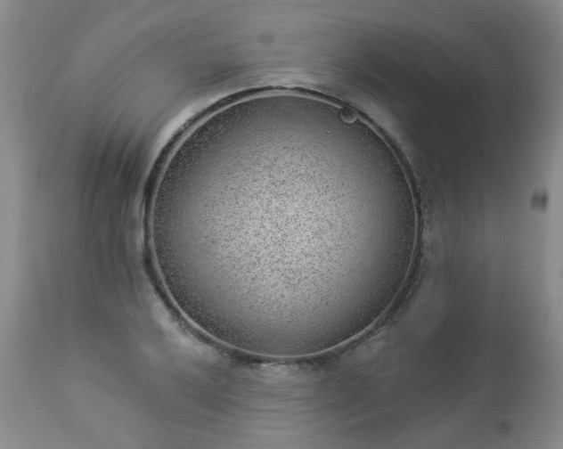 X0000112981032200909031104