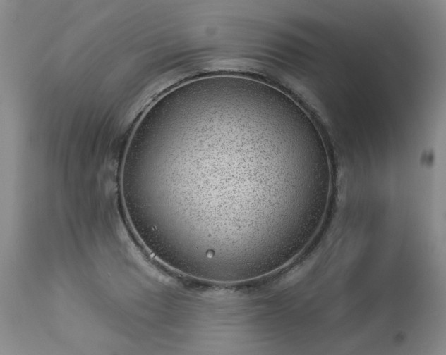 X0000112981033200909031104