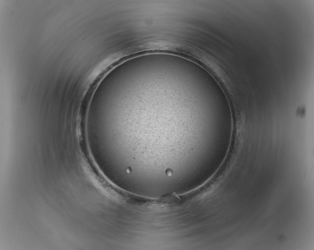 X0000112981034200909031104