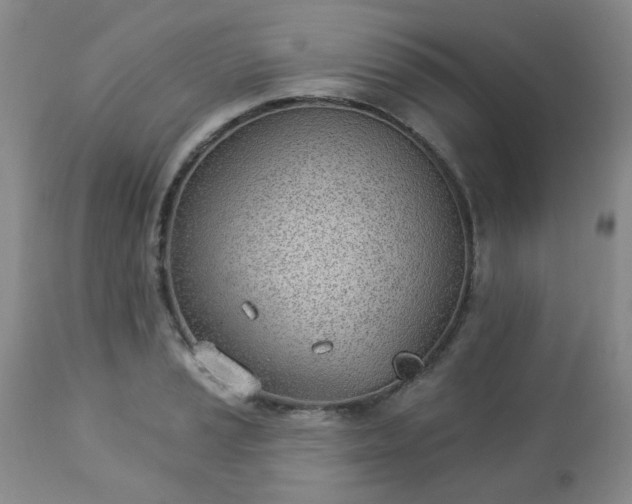 X0000112981037200909031104