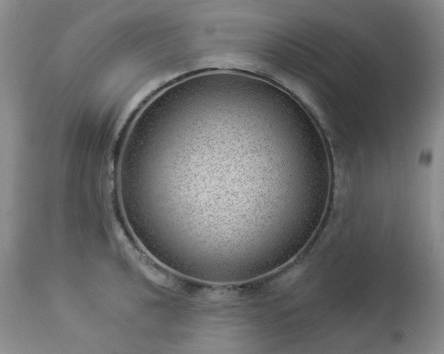 X0000112981040200909031104