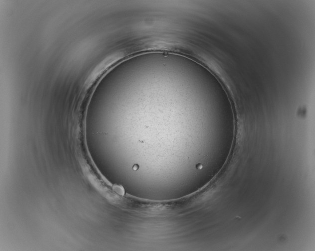 X0000112981042200909031104