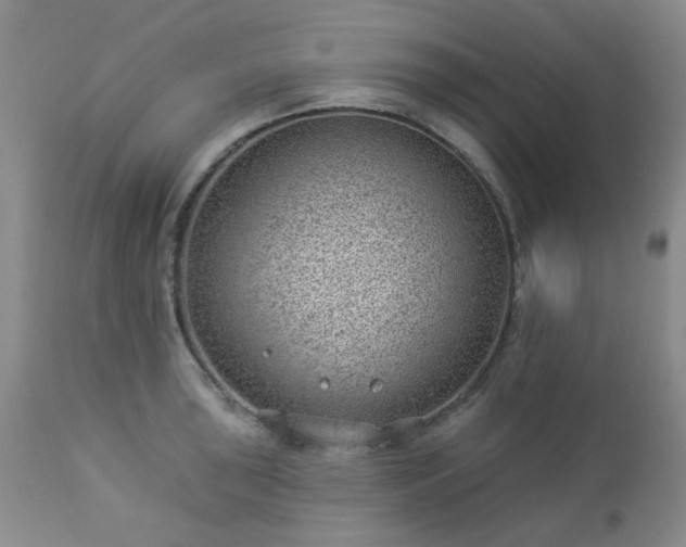 X0000112981043200909031104