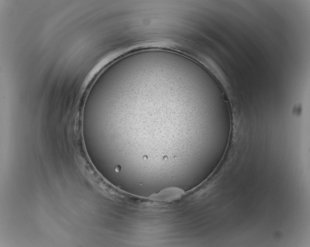 X0000112981044200909031104