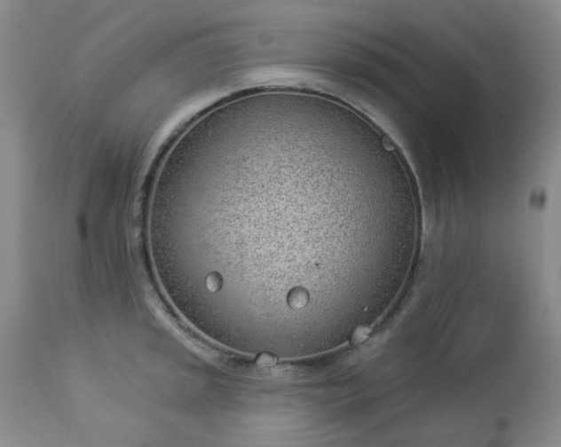 X0000112981045200909031104