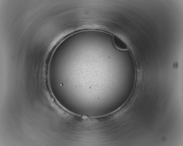 X0000112981046200909031104