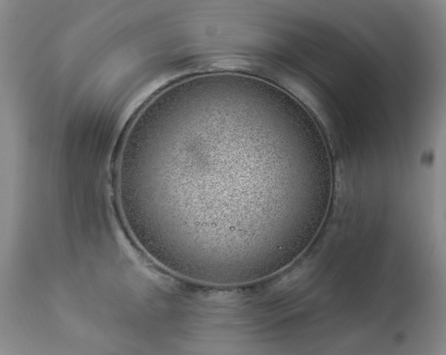 X0000112981047200909031104