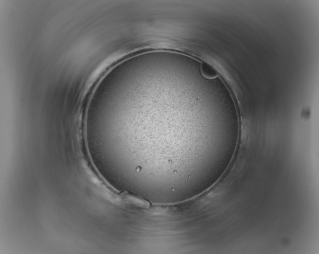 X0000112981048200909031104