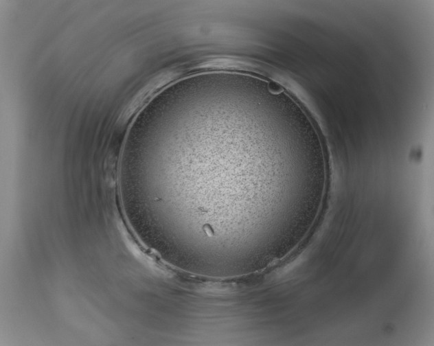 X0000112981049200909031104