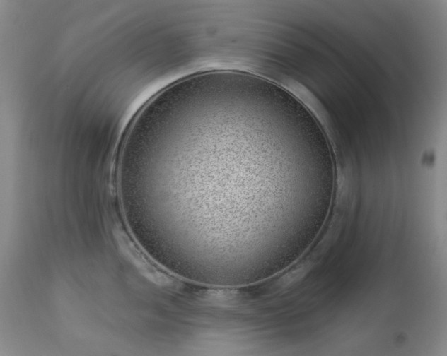 X0000112981052200909031104