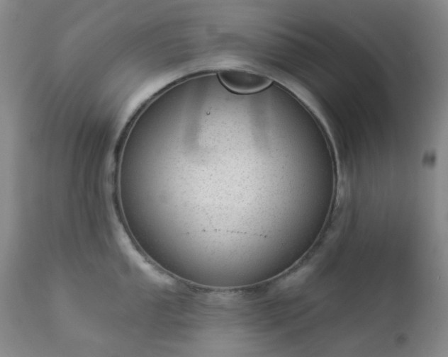 X0000112981053200909031104