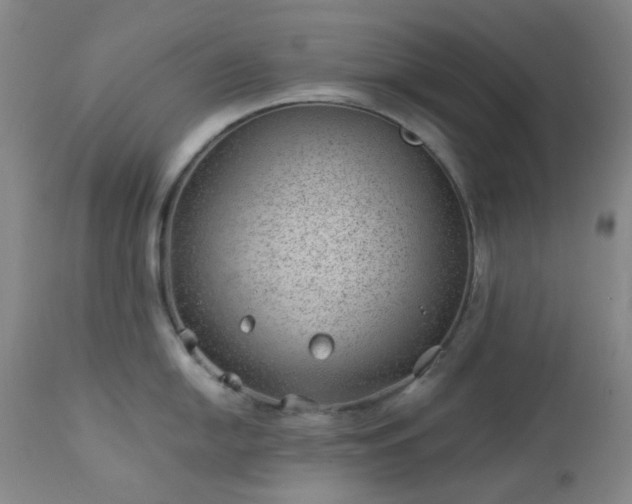 X0000112981054200909031104