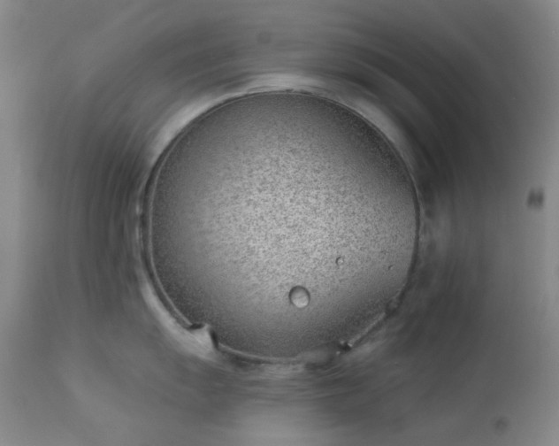 X0000112981055200909031104