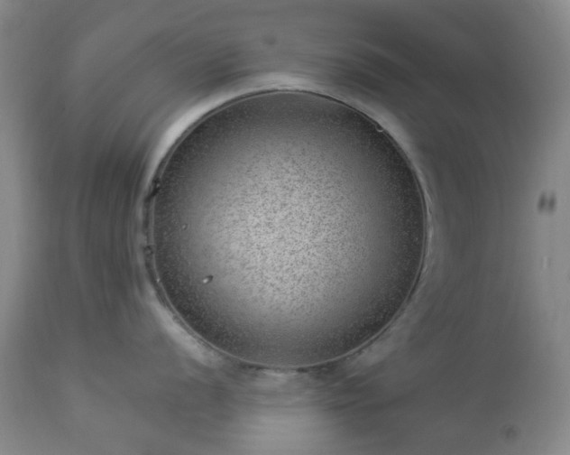 X0000112981056200909031104