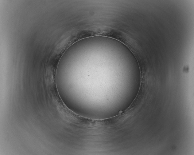 X0000112981058200909031104