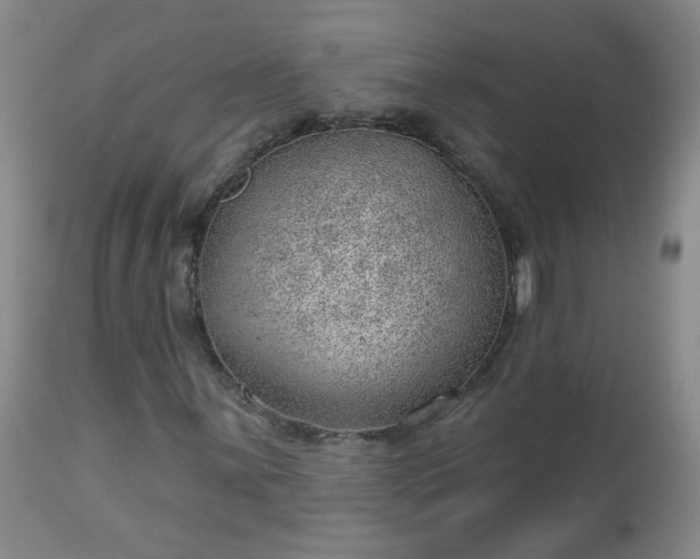 X0000112981059200909031104