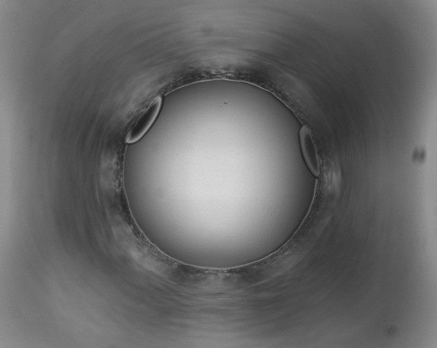 X0000112981060200909031104