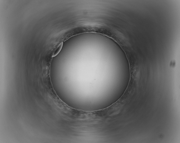 X0000112981061200909031104