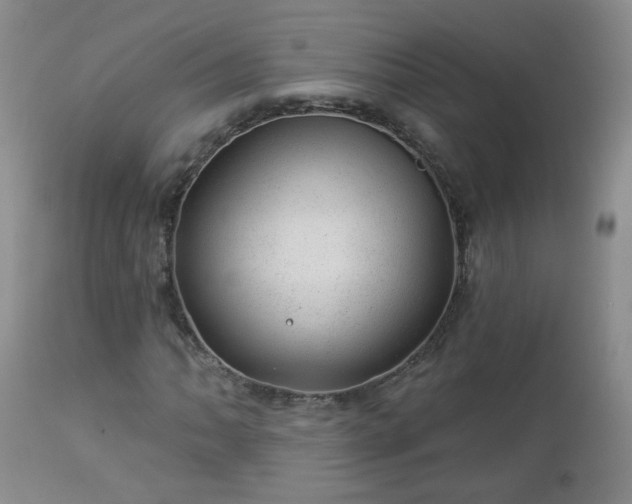 X0000112981062200909031104