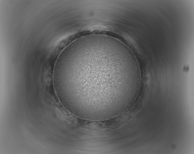 X0000112981063200909031104