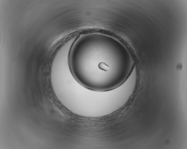 X0000112981064200909031103