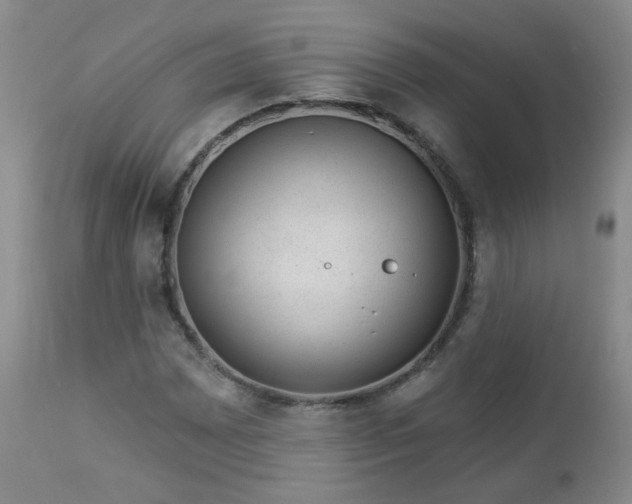 X0000112981065200909031103