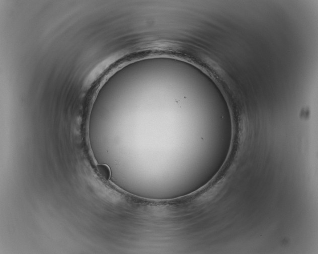 X0000112981066200909031103