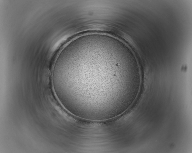 X0000112981067200909031103