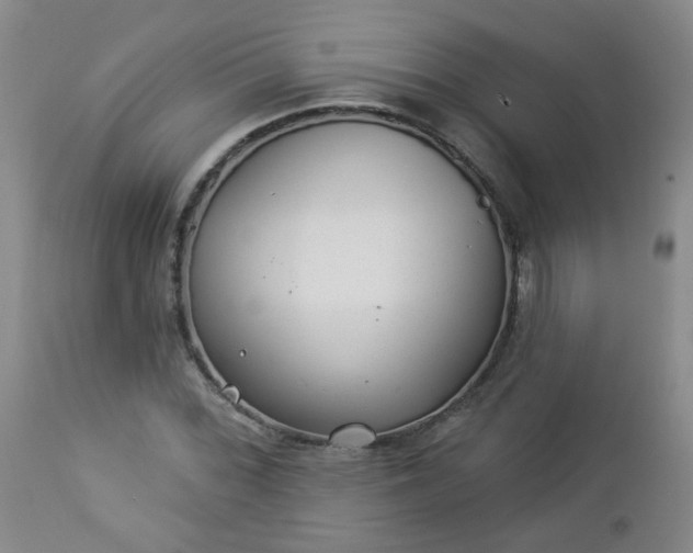 X0000112981068200909031103