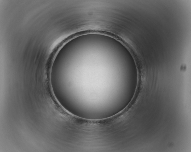 X0000112981070200909031103