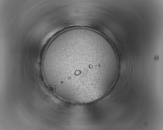 X0000112981071200909031103