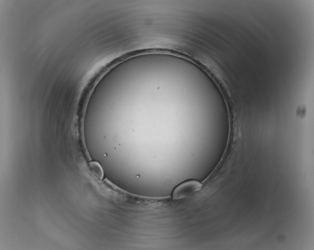 X0000112981072200909031103