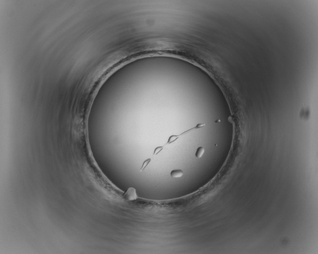 X0000112981073200909031103