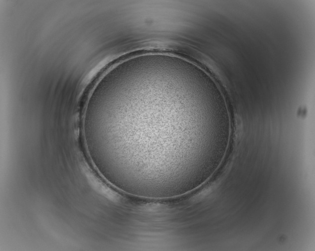 X0000112981075200909031103