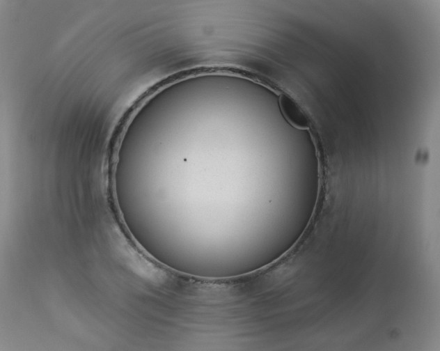 X0000112981076200909031103