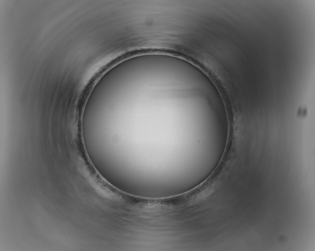 X0000112981077200909031103