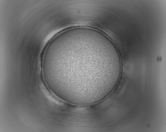 X0000112981078200909031103