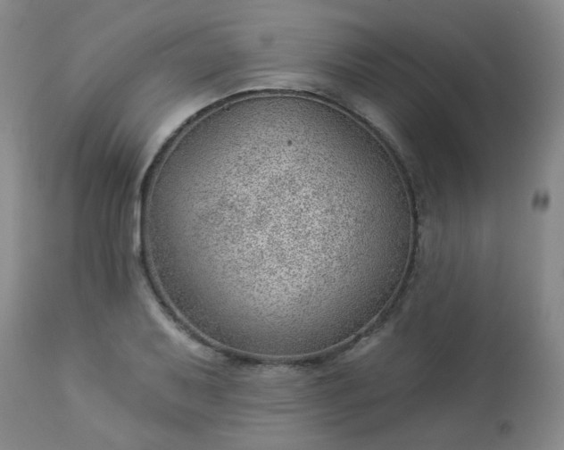 X0000112981079200909031103