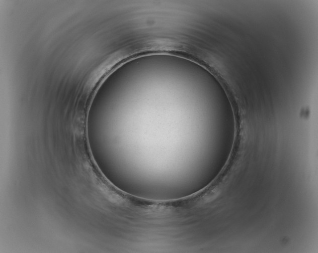 X0000112981081200909031103