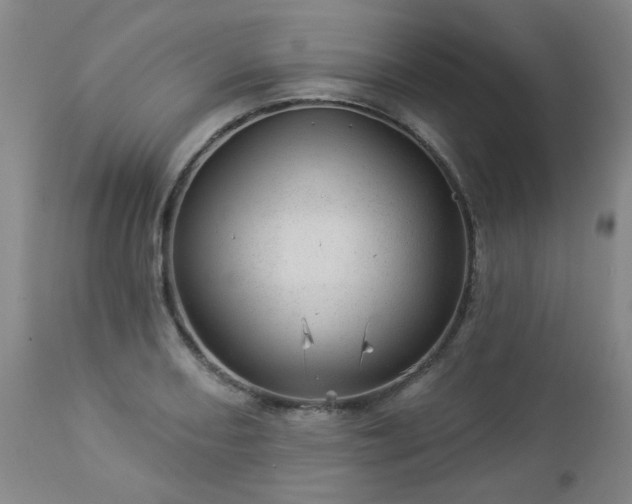 X0000112981082200909031103