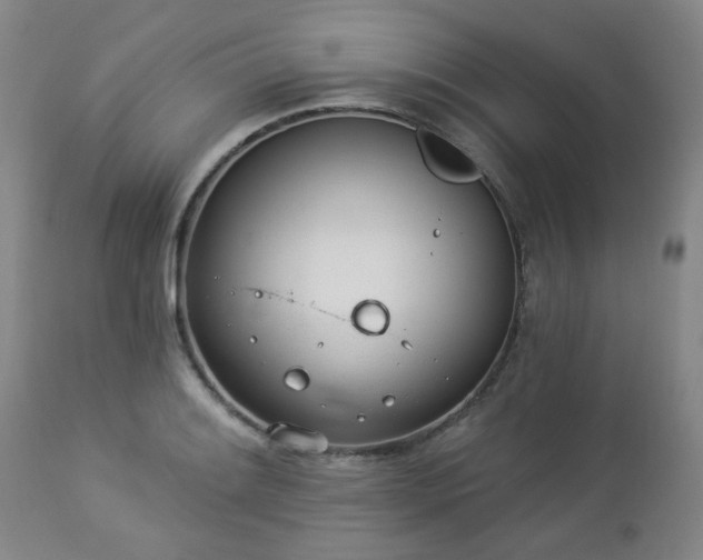 X0000112981084200909031103