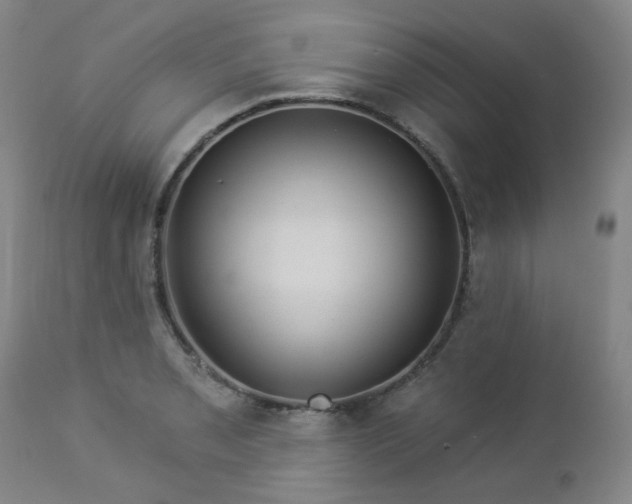 X0000112981085200909031103