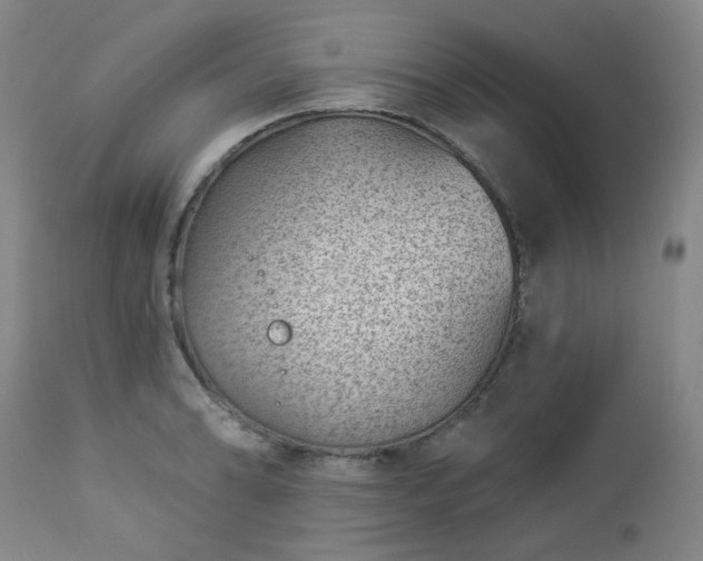 X0000112981086200909031103