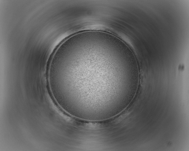 X0000112981087200909031103